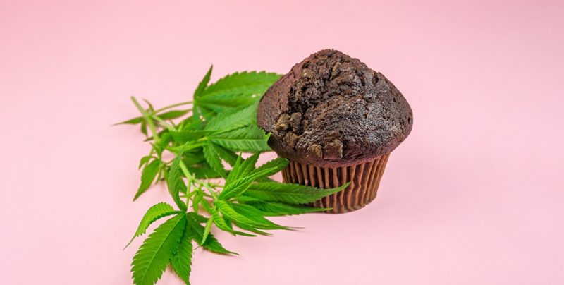 cbd snacks