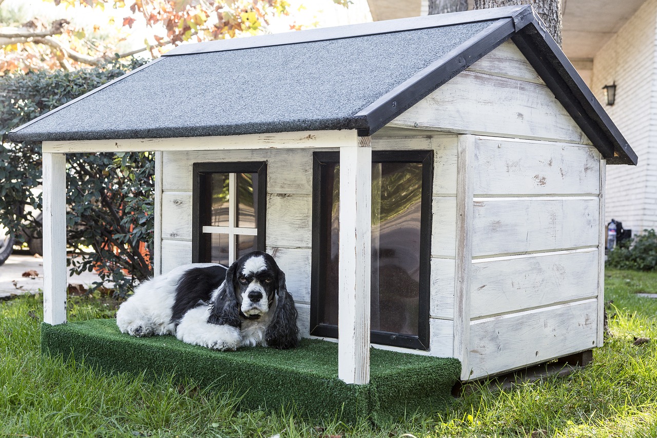 kennel